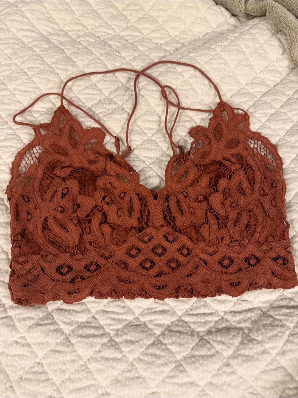 Free People Lace Bralette in Rust